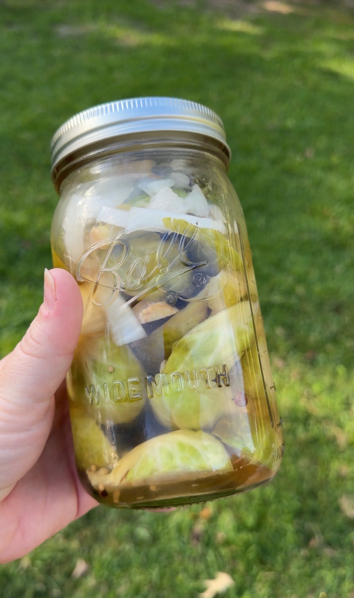 Pickled Brussels Sprouts