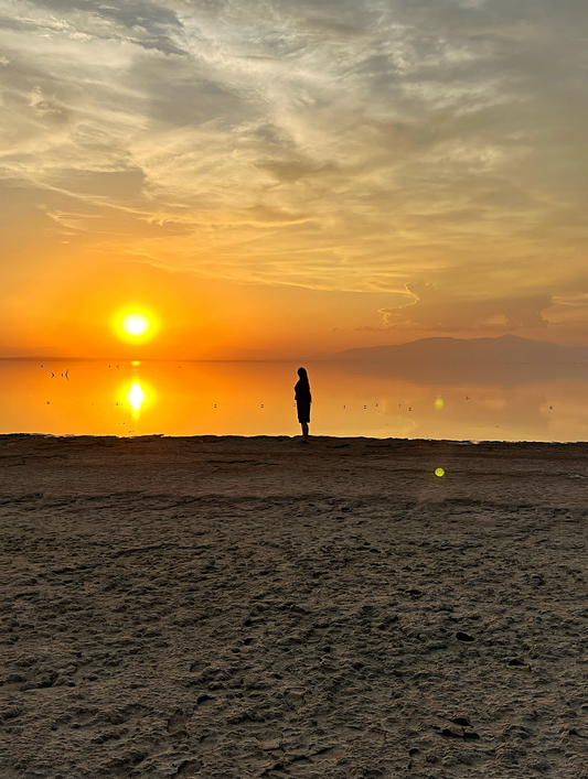 We Visited the Ominous Salton Sea in California